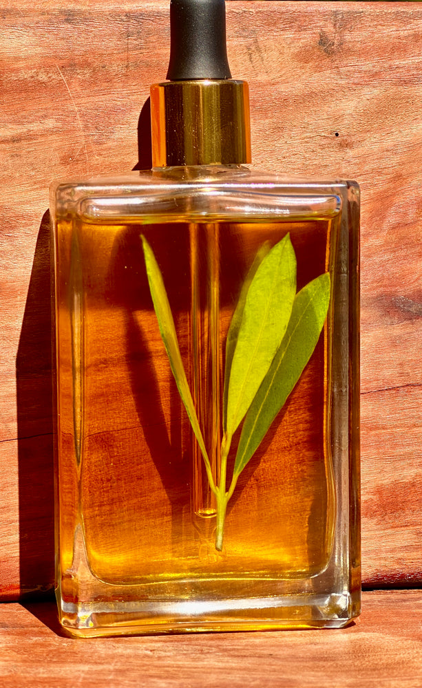 
                  
                    Coolmunda Soothe Body Oil
                  
                